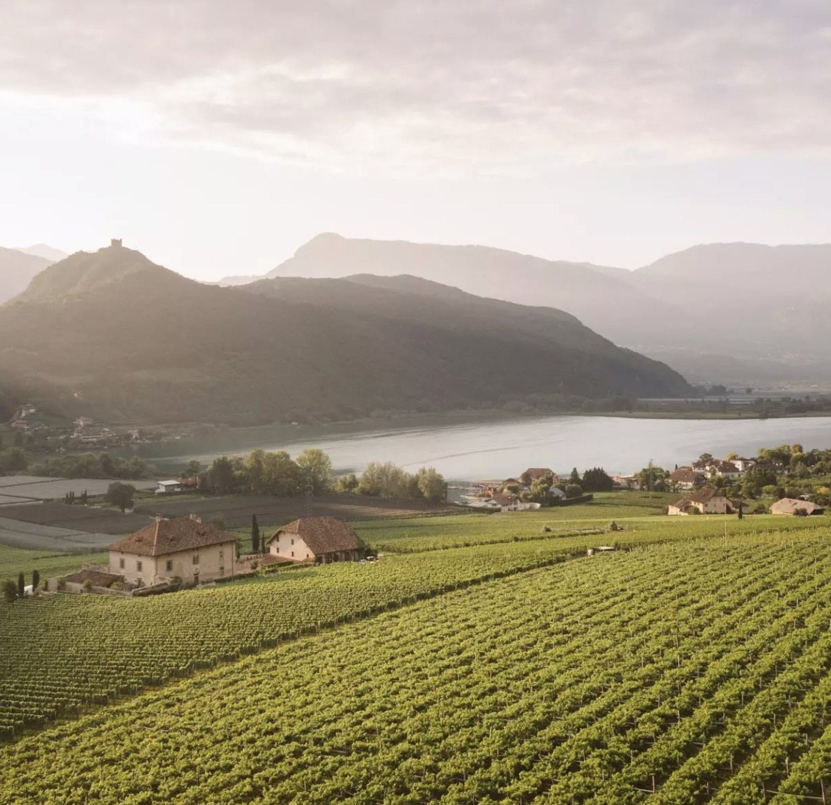 Gut Kaltenburg im Morgenlicht zwischen Weinbergen, dahinter der Kalterer See und die Berge